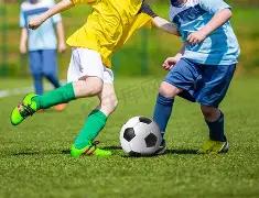 费兰社交媒,体欢庆破门,鲨鱼荣耀时,亚博体育,亚博体育官网,亚博体育app,亚博体育下载