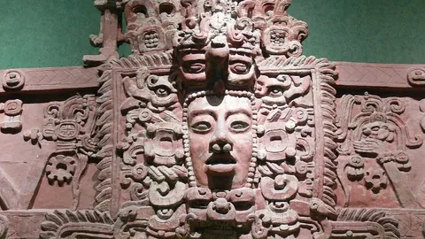 中国知名体育明星代言费：体育生“擎天柱”一年收入揭秘